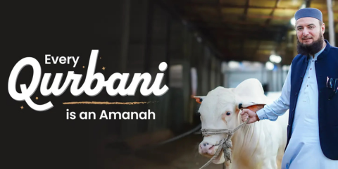 Emergency Relief Image