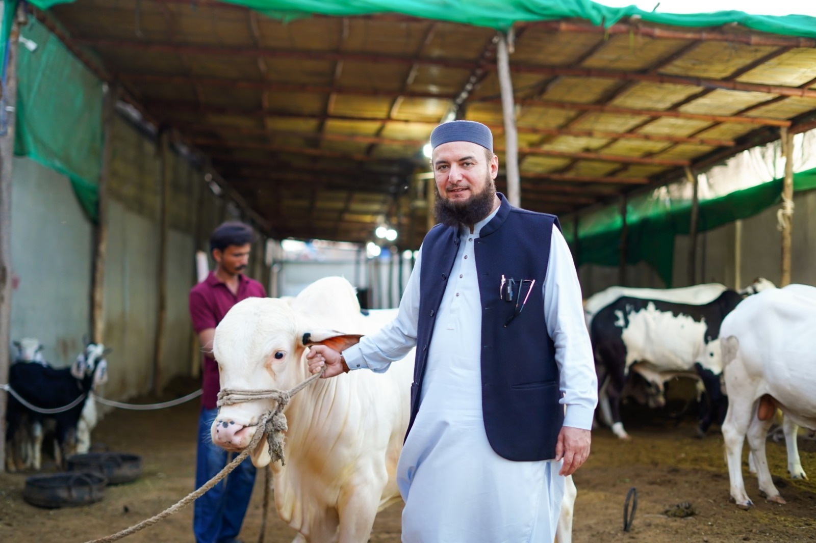 Humanitarian support