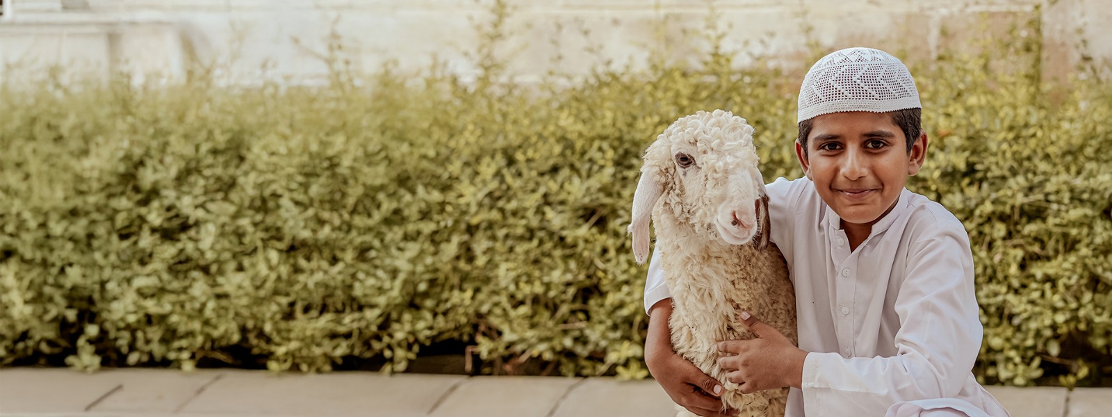 Website banner qurbani three