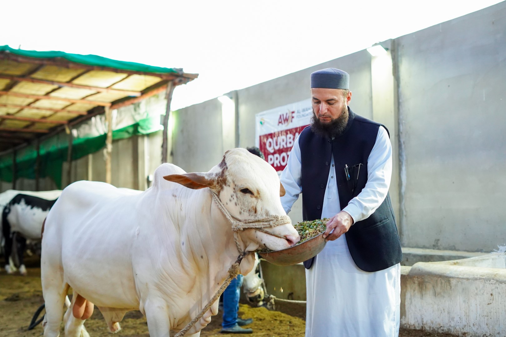 What is Qurbani? Understanding the Islamic Tradition of Sacrifice