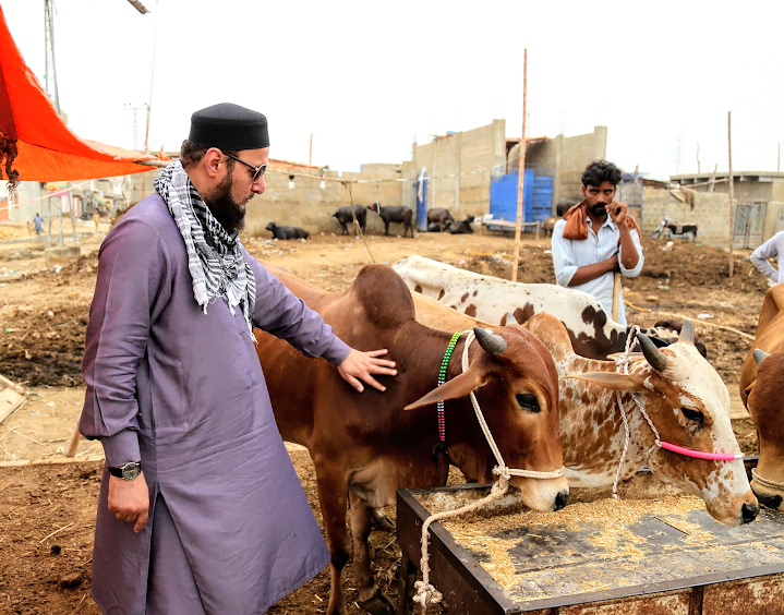 Perform Prophetic Qurbani for Abundant Rewards