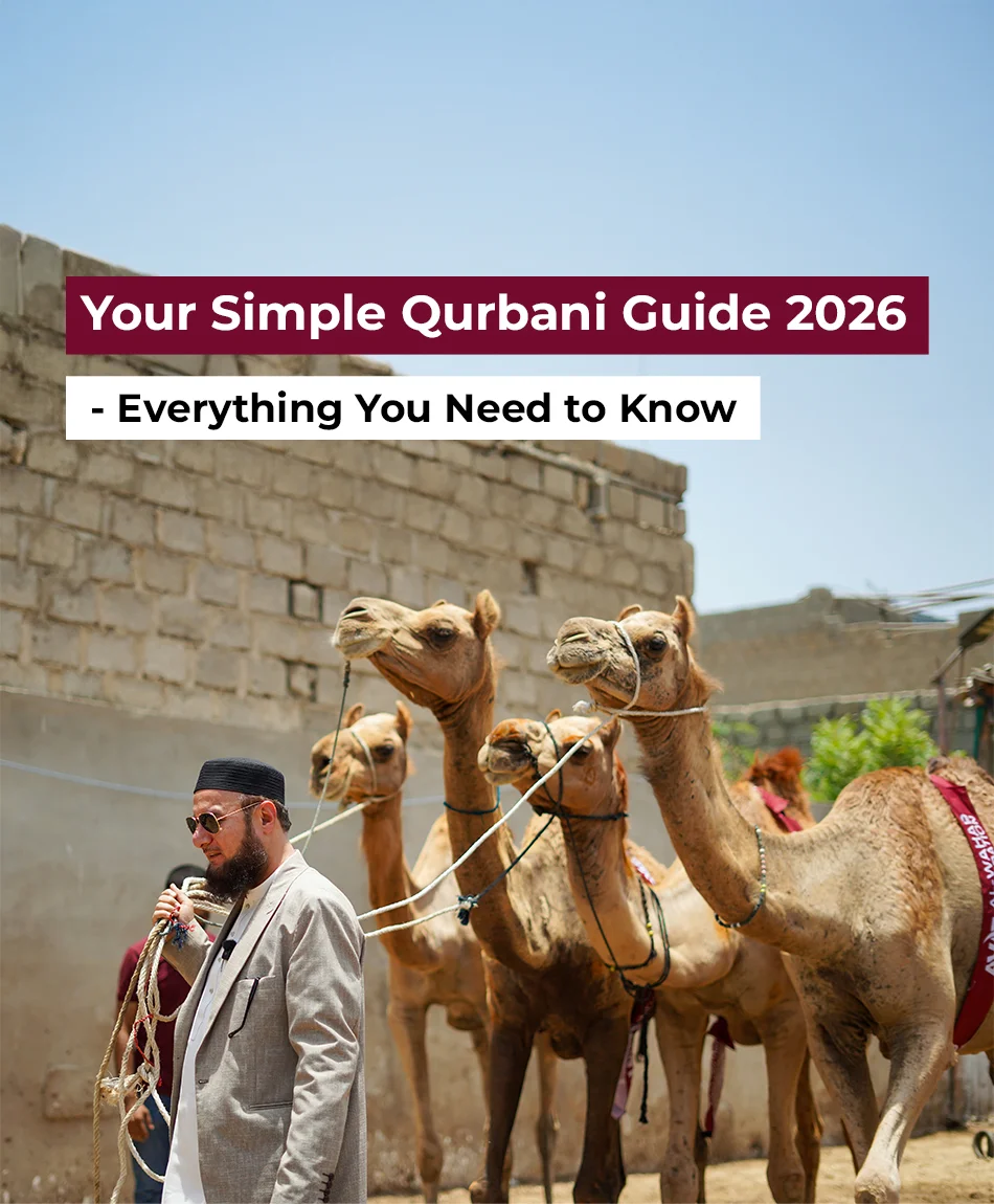 Your Simple Qurbani Guidelines