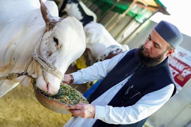 qurbani